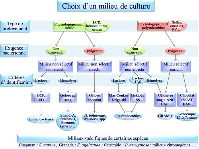 Choix d'un milieu de culture