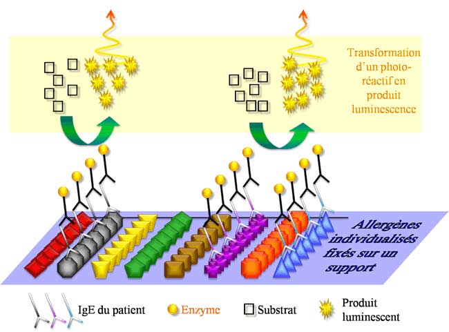 Tests multiallergéniques quantitatifs par allergène