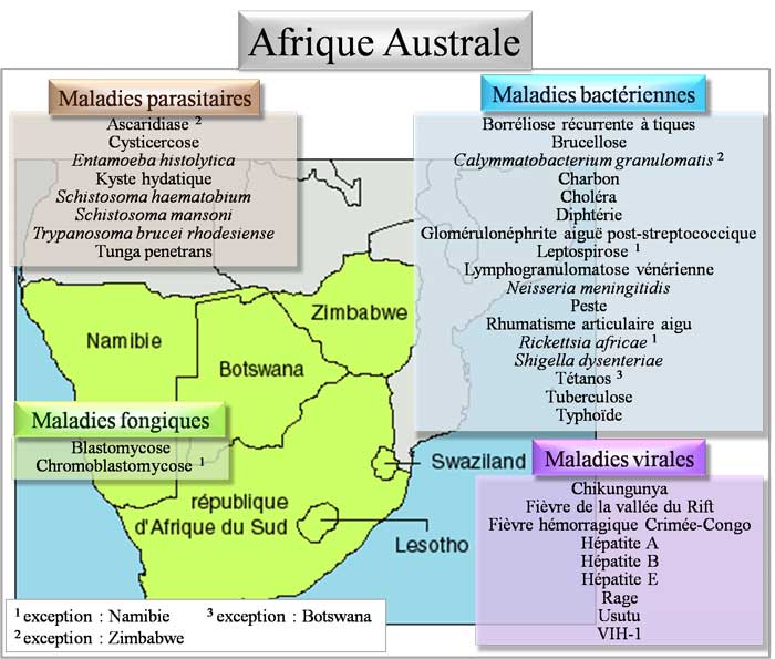 Pathologies d'Afrique australe