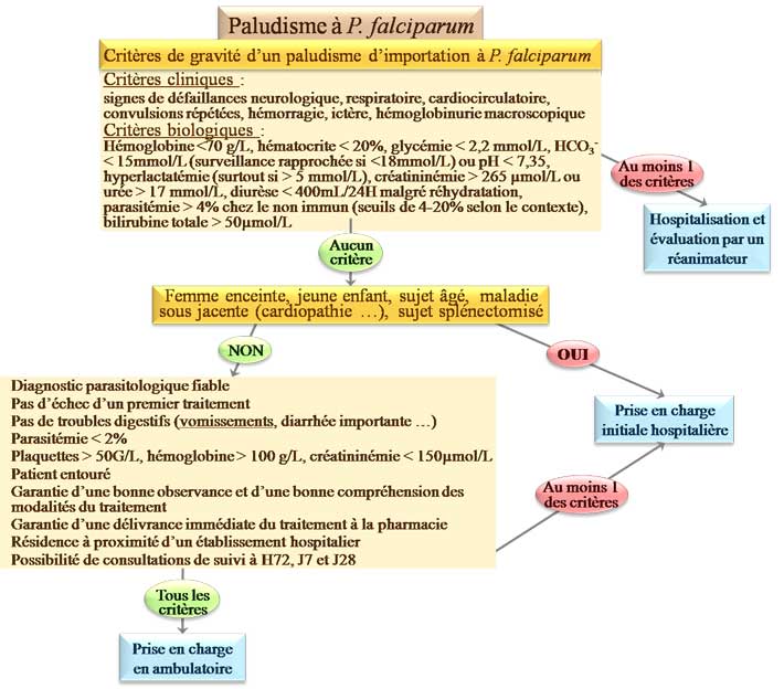 Prise en charge d'une infection à Plasmodium falciparum
