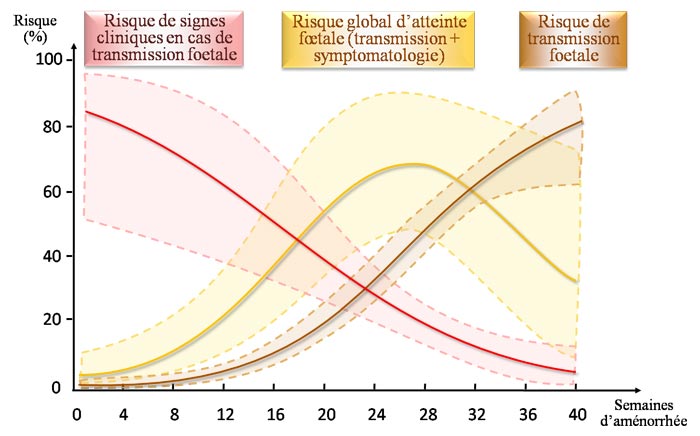 Risque de contamination foetale lors d'une primo-infection au cours de la grossesse
